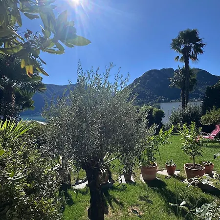 View Palm Garden *