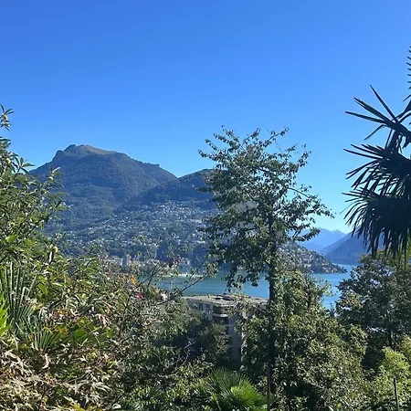 View Palm Garden Лугано