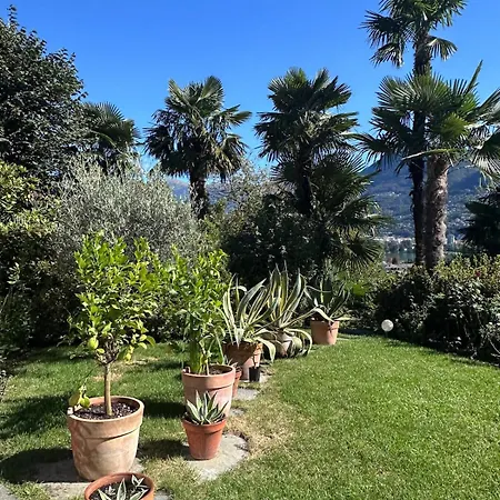 View Palm Garden 펜션