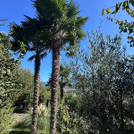 View Palm Garden Лугано