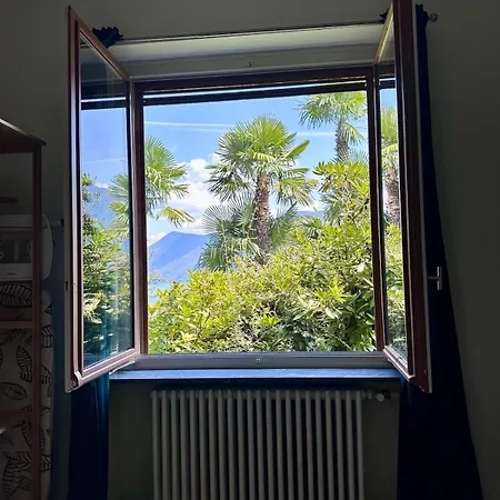 View Palm Garden *