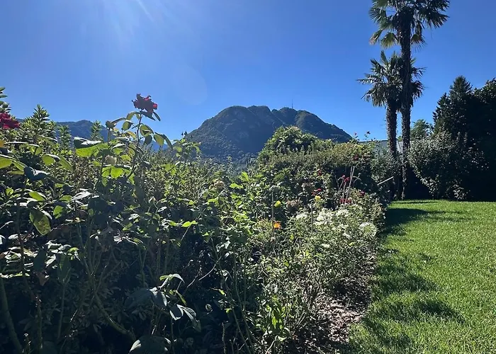 View Palm Garden Feriehus *