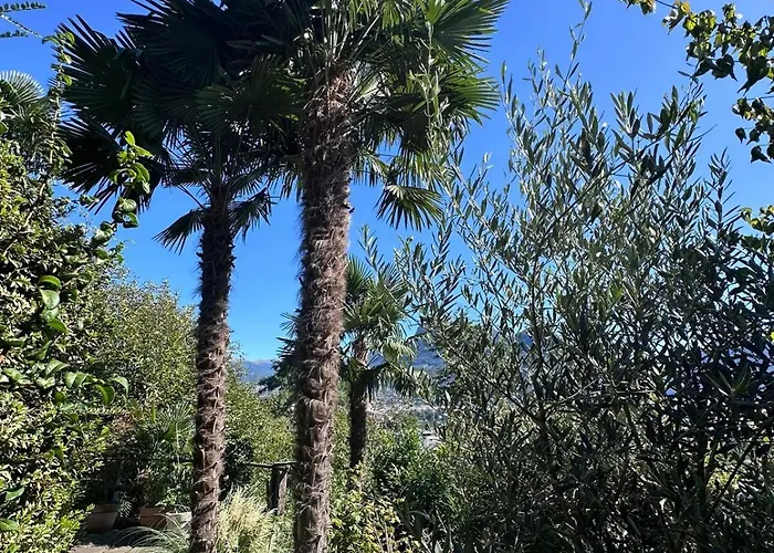 View Palm Garden Lugano