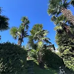 Semesterbostad View Palm Garden *