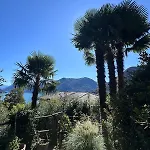 Semesterbostad View Palm Garden