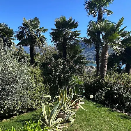 View Palm Garden *