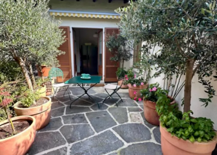 View Palm Garden * Lugano