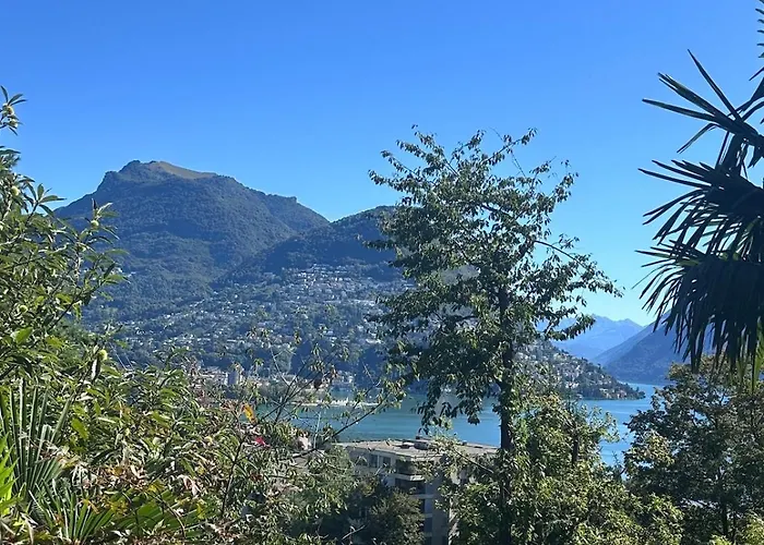 View Palm Garden Lugano
