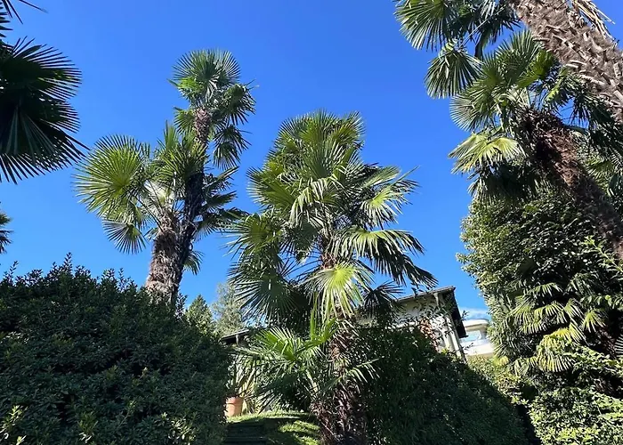 Hébergement de vacances View Palm Garden *