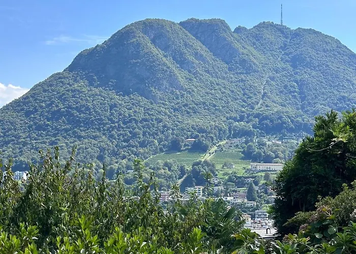 View Palm Garden * Lugano