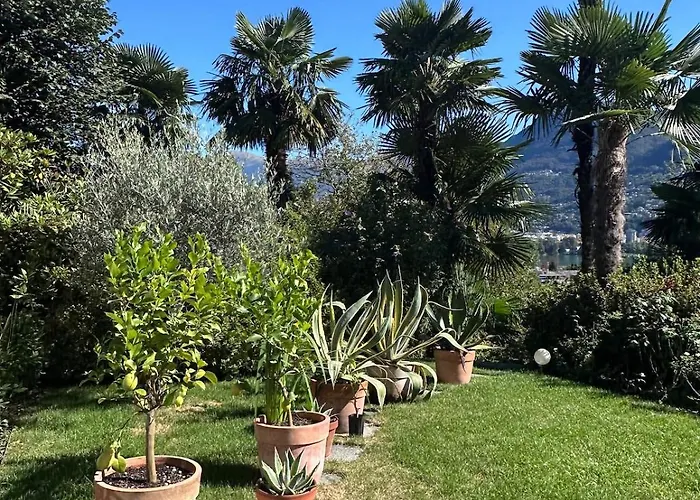 View Palm Garden Hébergement de vacances